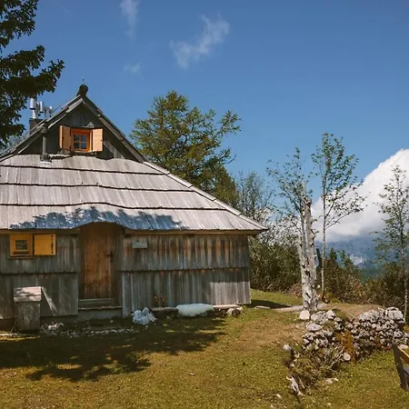 Chalet Orlica Velika Planina *