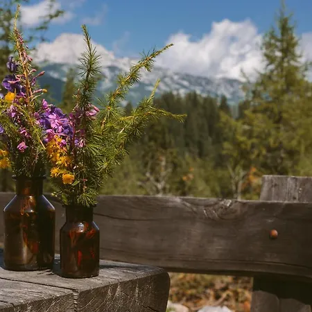 Orlica Velika Planina Chalet *