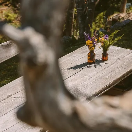 Orlica Velika Planina Chalet