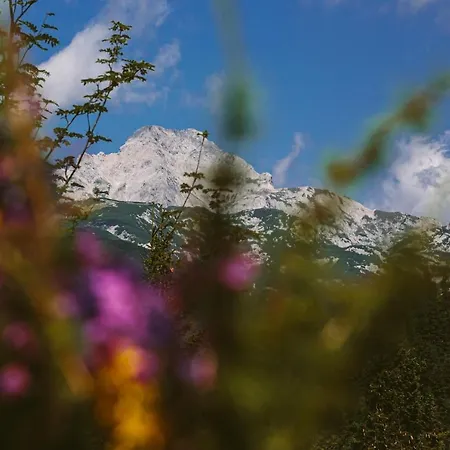 Horská chata Orlica Velika Planina *