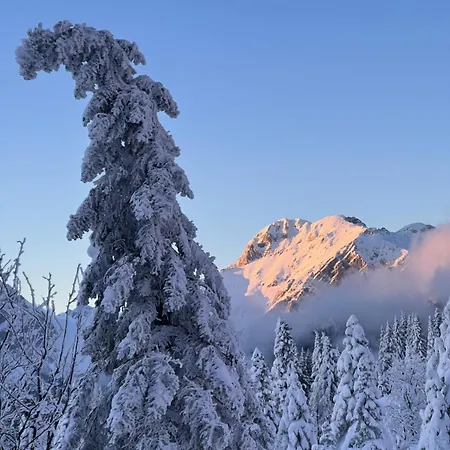 Orlica Velika Planina *