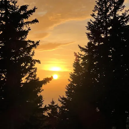 Orlica Velika Planina シャレー *