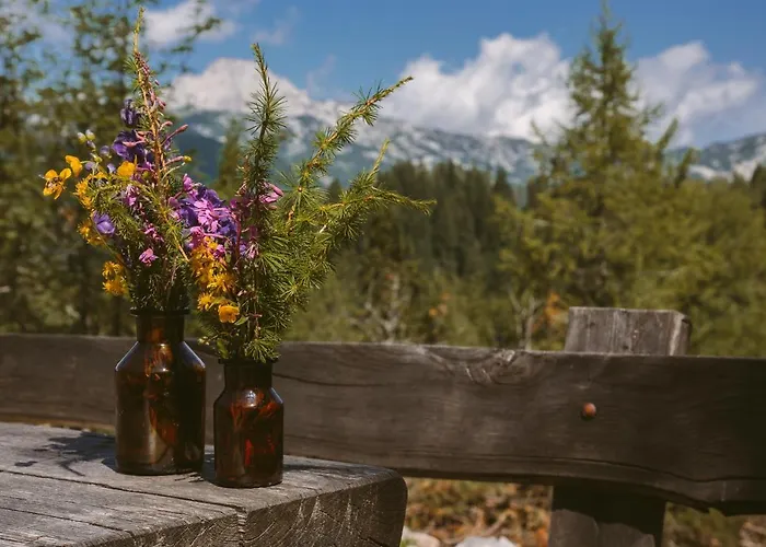 Orlica Velika Planina シャレー *