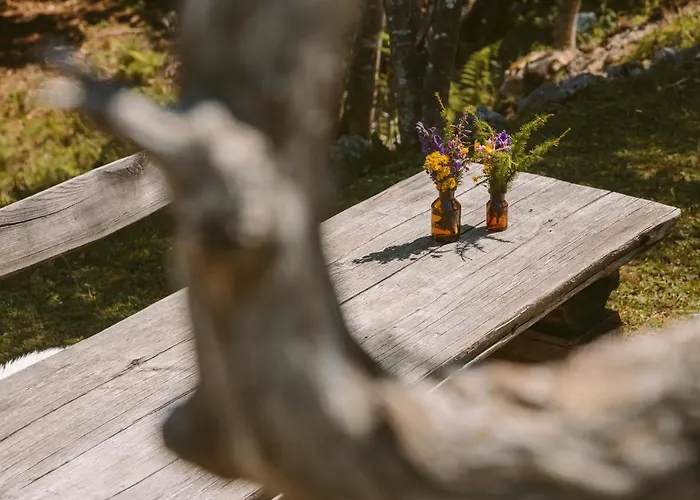 Orlica Velika Planina 샬레