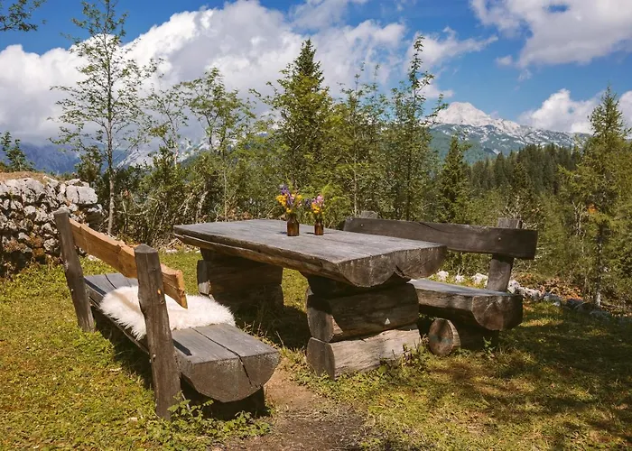 Orlica Velika Planina Stahovica