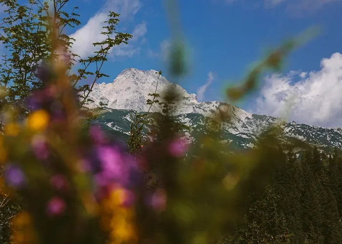 샬레 Orlica Velika Planina *