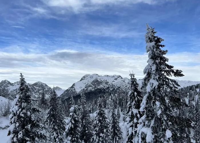 Chalet Orlica Velika Planina