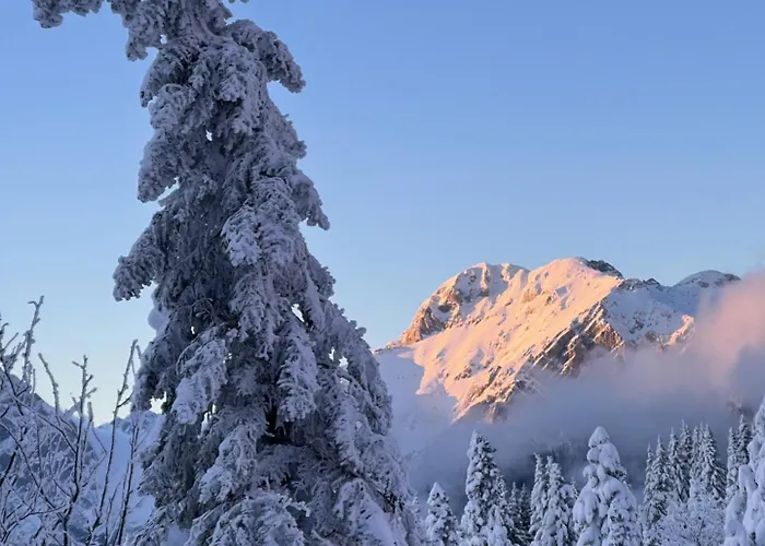 Orlica Velika Planina *